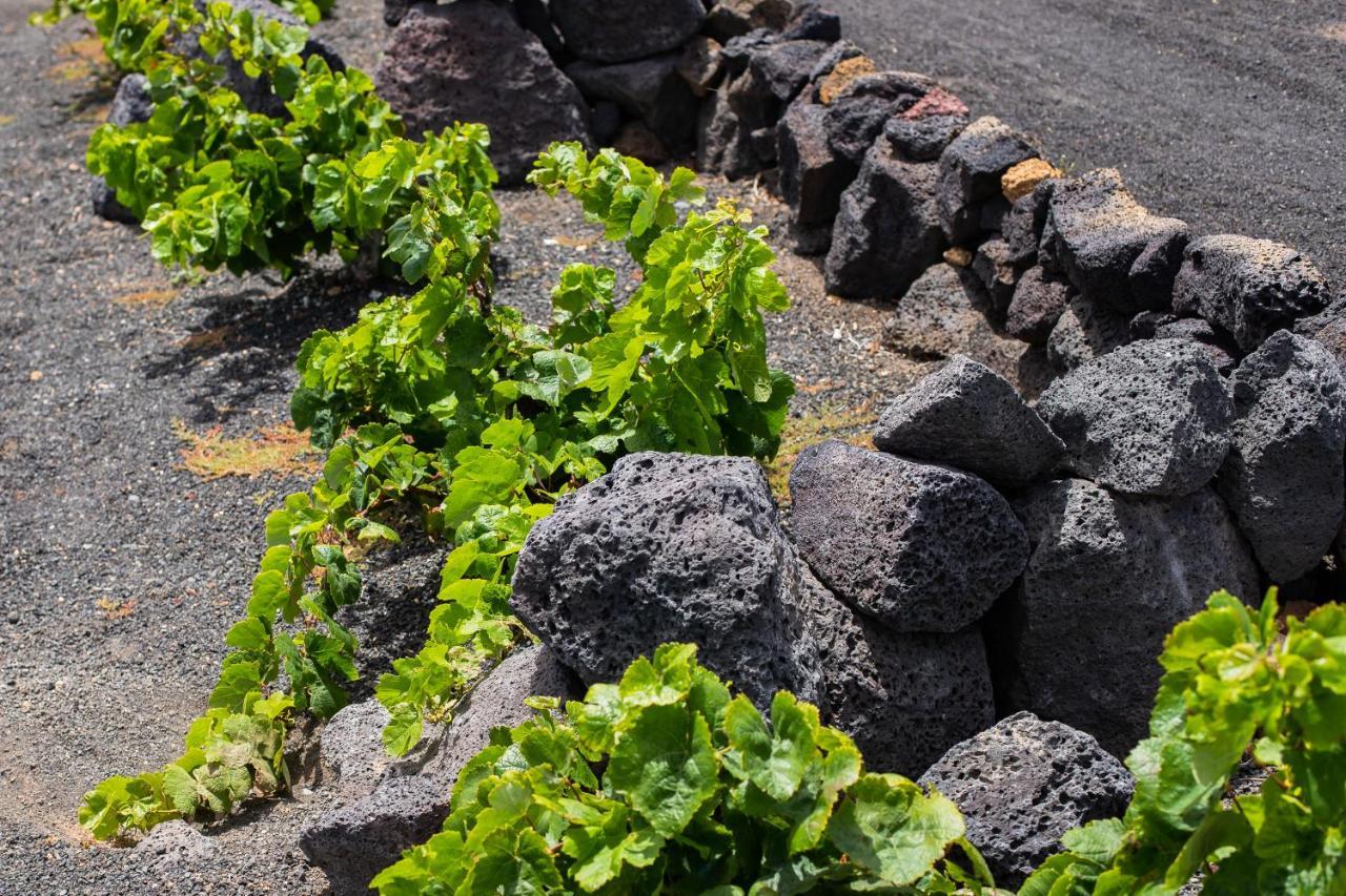 فندق Eslanzarote Eco Dome Experience تيغيسي المظهر الخارجي الصورة